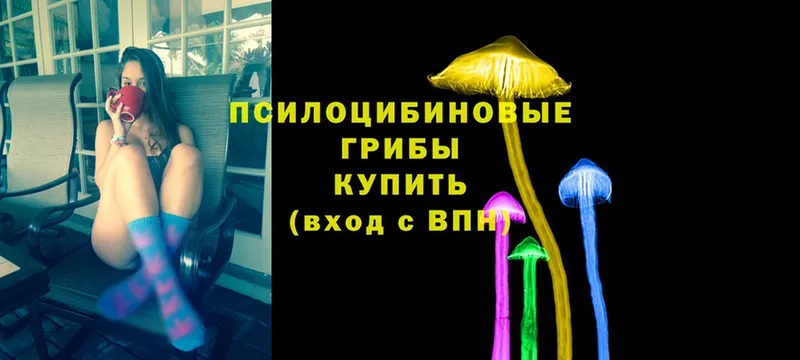 Галлюциногенные грибы Psilocybine cubensis  МЕГА как зайти  Лахденпохья 